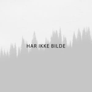 utleie av Gipsplateheis